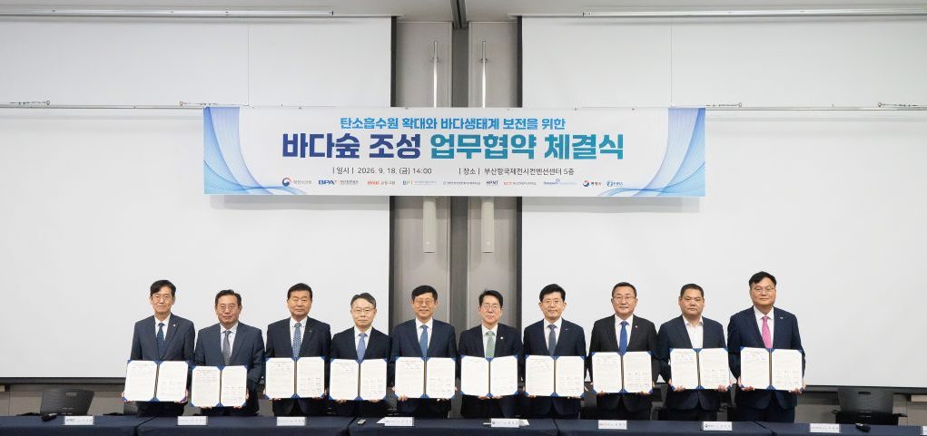 기업·공공기관 손잡고 제주·통영에 3.15㎢ 바다숲 조성