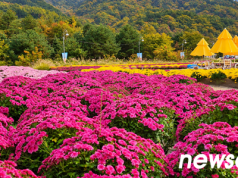 포토뉴스 ㅣ가을빛 향기 속으로, 인제 꽃 축제